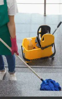 شرکت نظافتی و تشریفاتی
