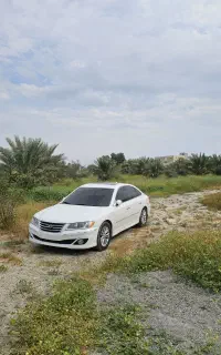 ازرا کالیفرنیا درحد