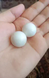 سنگ آسیاب اصلی