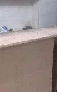 میز پستا ساز