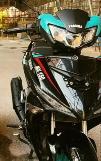 mxking