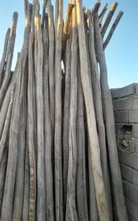 چوب تیره  نو