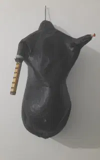 نیهمبان تیز خوش صدا  ابندی شده