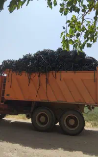 خریدار نوار کشاورزی شما هستیم