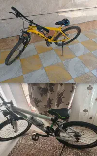 دوچرخه ویوا