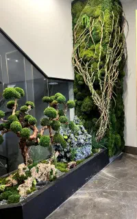 دیوار سبز خزه ای