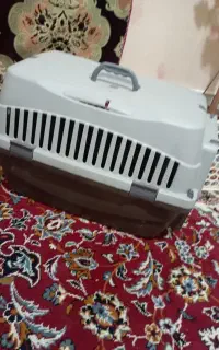 باکس سگ سایز متوسط