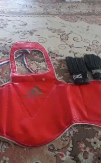 هوگو دسکش