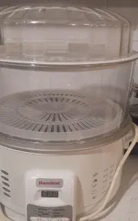 بخارپز رژیمی هامیلتون
