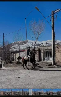 اسب نر