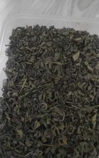 چای سبز