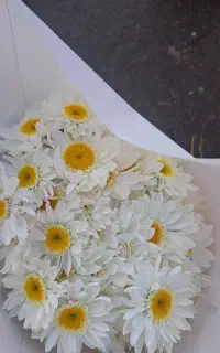 ارسال گل مستقیم از بازار گل امام رضا