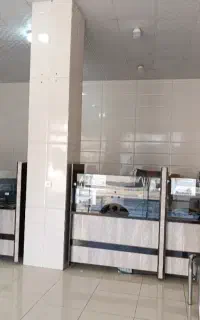 استخدام نیرو خانم درکافی نت