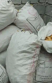 کوسک کرت
