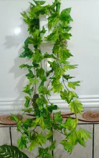ریسه