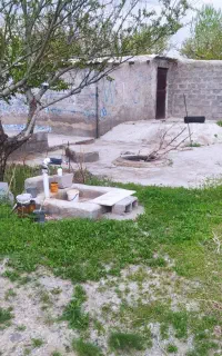 فروش یک قطعه باغ سیب واقع در شهر خداجو