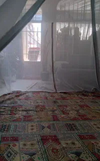 پشه بند سنتی