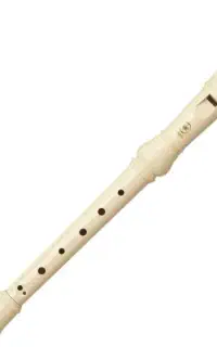 فلوت