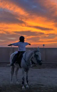 آموزش سوارکاری از مبتدی تا حرفه ای