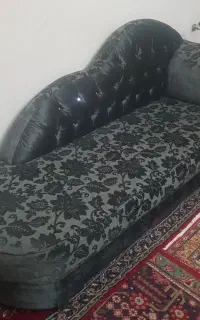 شارون راحتی