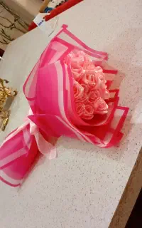 گل رز صورتی