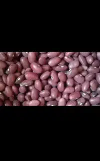 لوبیا قرمز ۵تن بوجاری شده زنجان قیمت  فقط نقد