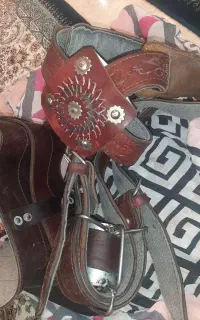 کمربندعلم کشی