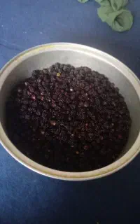 تمشک