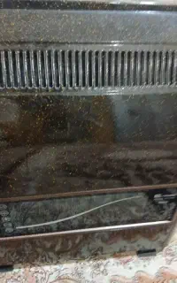 بخاری نو