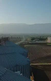 جویای کار