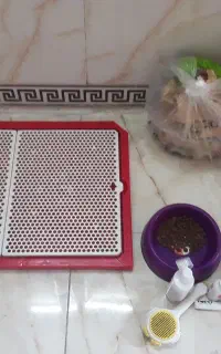 مقداری‌لوازم‌پت‌سگ‌