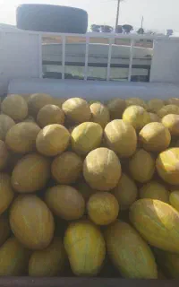 میوه