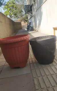 گلدان