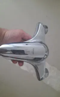 شیر دوقلو حمام