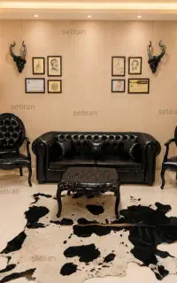 مبلمان اداری رنگ نقره ای