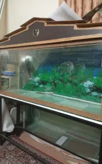 آکواریوم کلبه ای با پایه فلزی