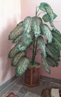 گل گلدان