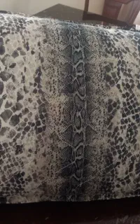 روبالشتی
