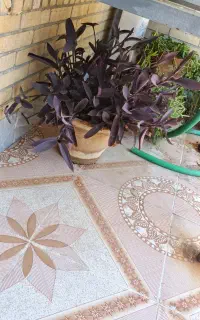 گل با گلدون