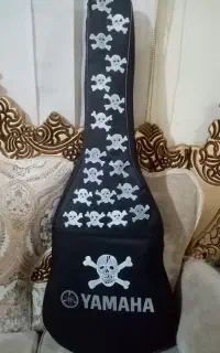 کیف گیتار