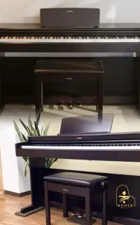 پیانو mohebi(نمایندگی پخش Yamaha )