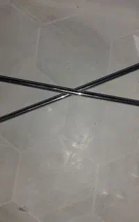 شاخک رگال