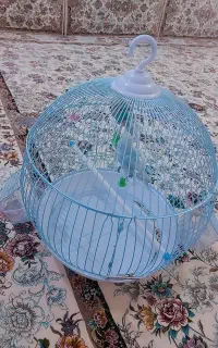 فروش دوعدد مرغ عشق با قفس