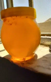 عسل صددرصد طبیعی به شرط کیلویی ۳ملیون تعداد محدود
