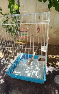 قفس محکم وزیبامخصوص طوطی وعروس هلندی