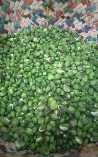 کپرگل تازه