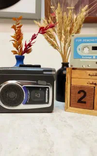 واکمن حرفه ای پاناسونیک