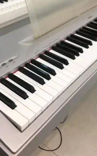 پیانو دیجیتال YAMAHA مدل p60 ساخت ژاپن
