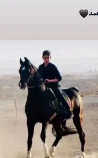 کره دوسر خوب بخونید بعد پیام بدید