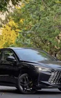 حواله لاماری اکو مشکی